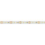 Светодиодная лента Arlight RT-A120-10mm 48V White6000 (9.6 W/m, IP20, 2835, 30m) 038805