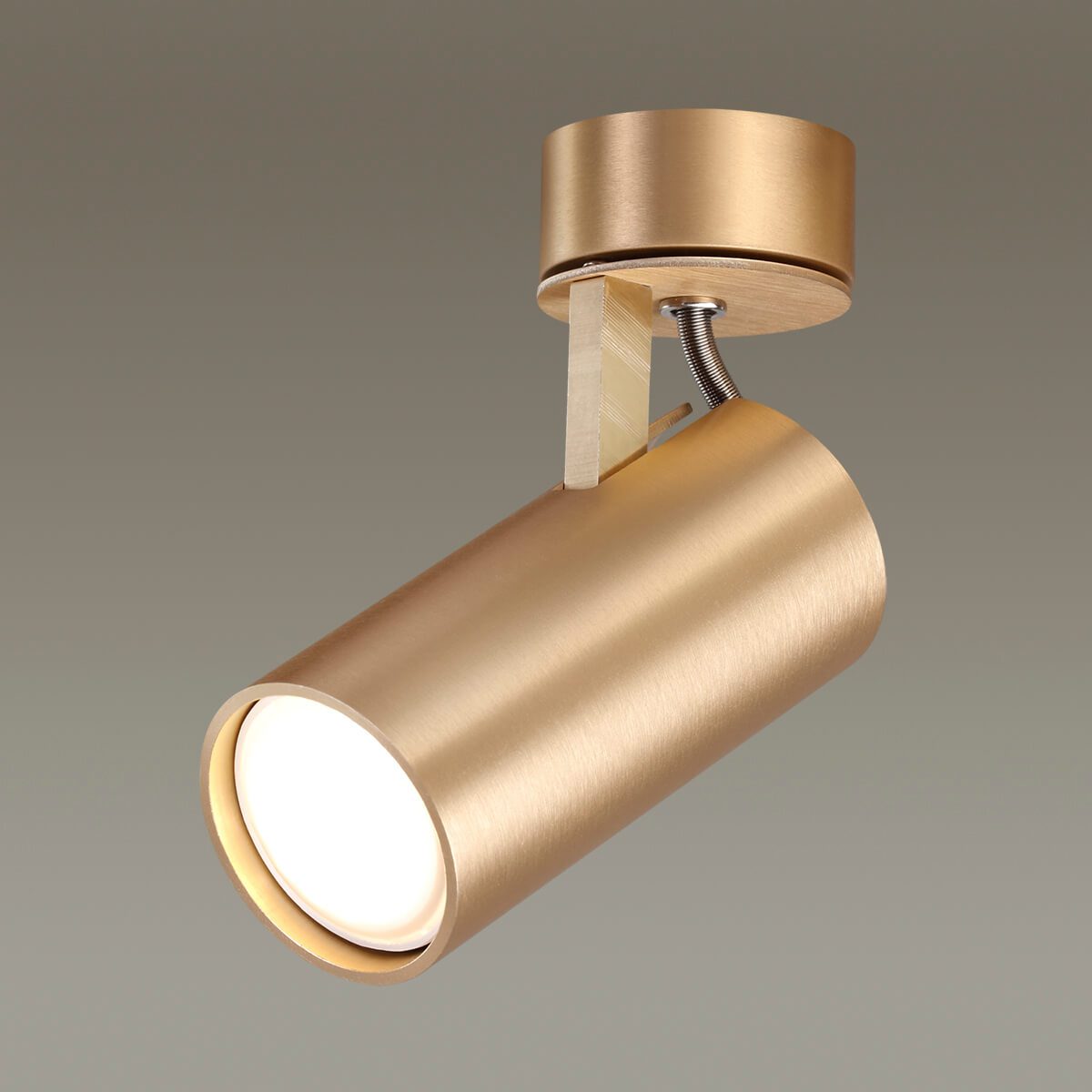 Спот Odeon Light Corse 3876/1C Спот Odeon Light Corse 3876/1C