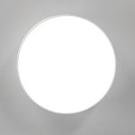 Накладной светодиодный светильник Citilux Тао CL712120N