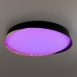 Потолочный светильник Citilux Bonny CL754451G