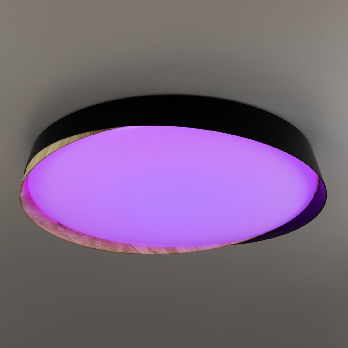 Потолочный светильник Citilux Bonny CL754451G Потолочный светильник Citilux Bonny CL754451G