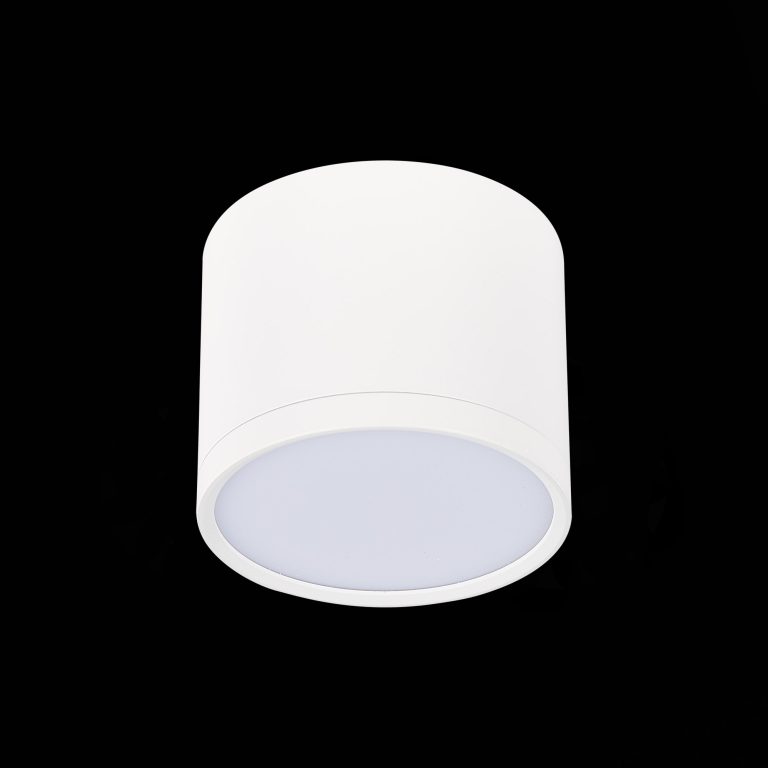 Потолочный светильник ST Luce Rene ST113.542.09