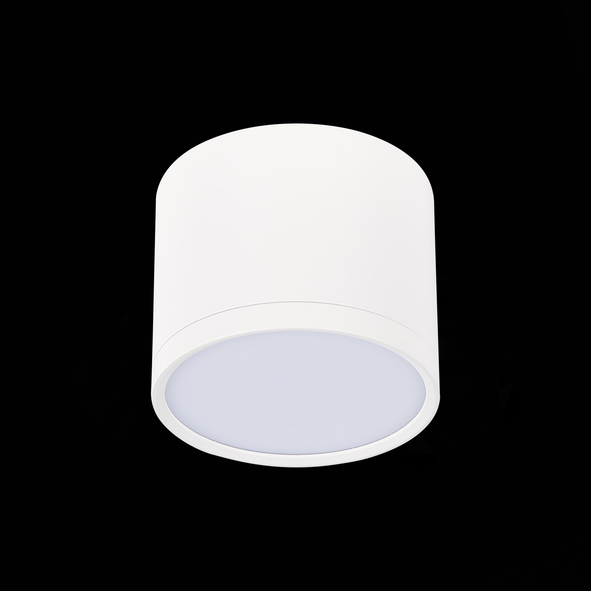 Потолочный светильник ST Luce Rene ST113.542.09 Потолочный светильник ST Luce Rene ST113.542.09