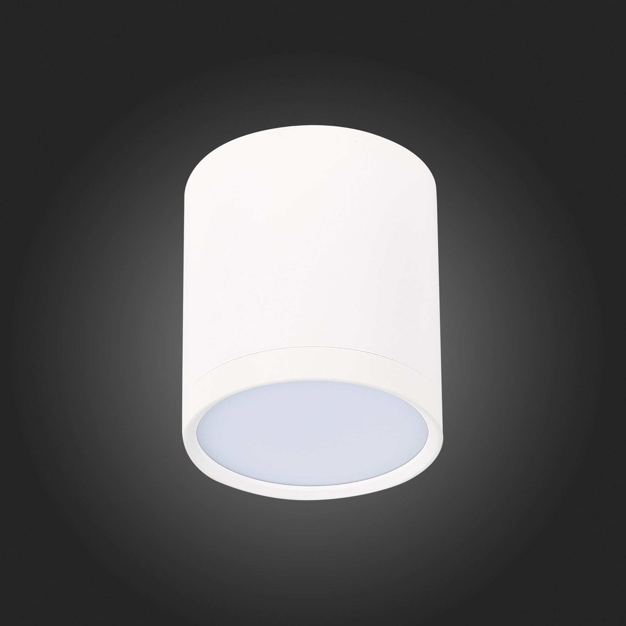 Потолочный светильник ST Luce Rene ST113.542.05 Потолочный светильник ST Luce Rene ST113.542.05