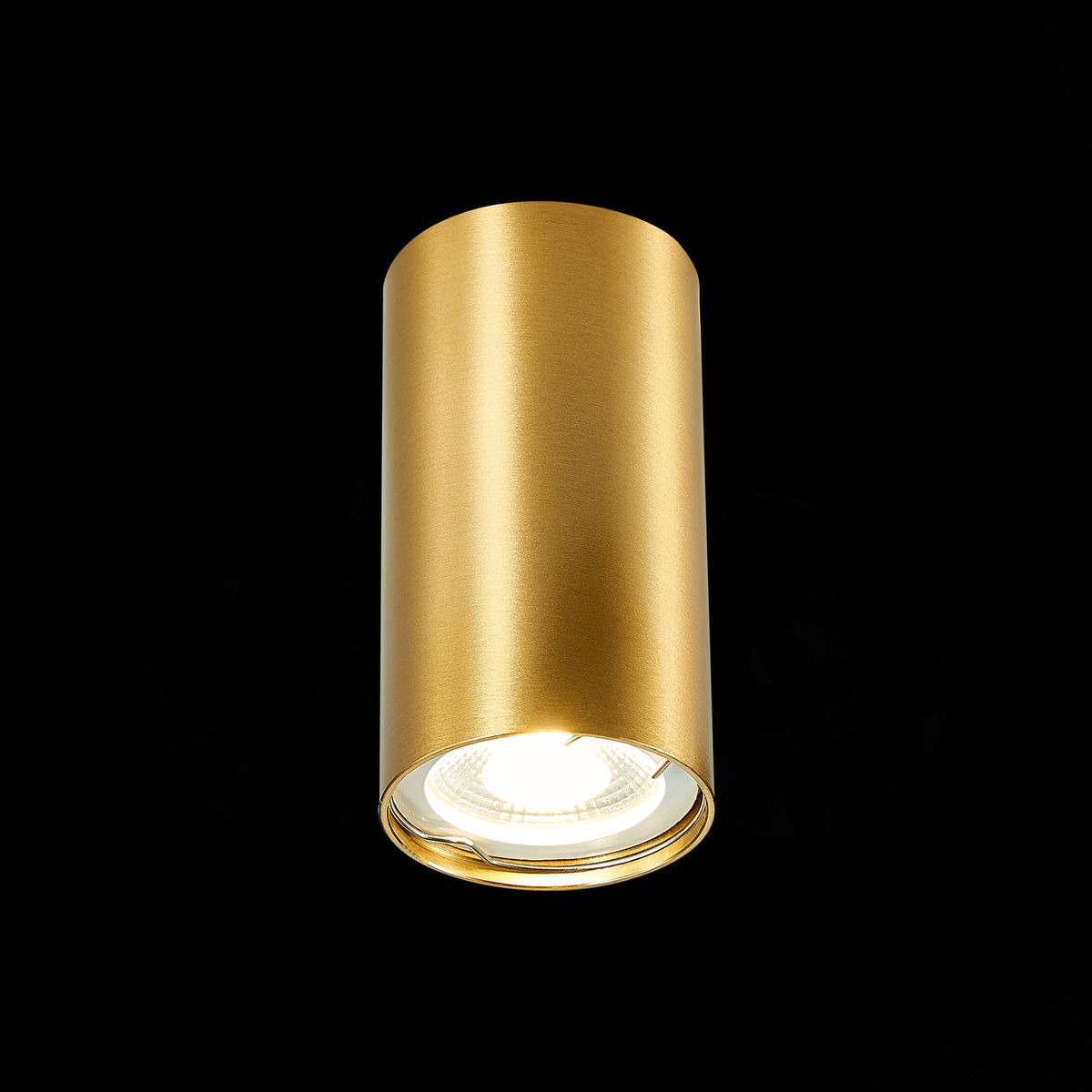 Накладной светильник ST Luce ST110 ST110.207.01 Накладной светильник ST Luce ST110 ST110.207.01