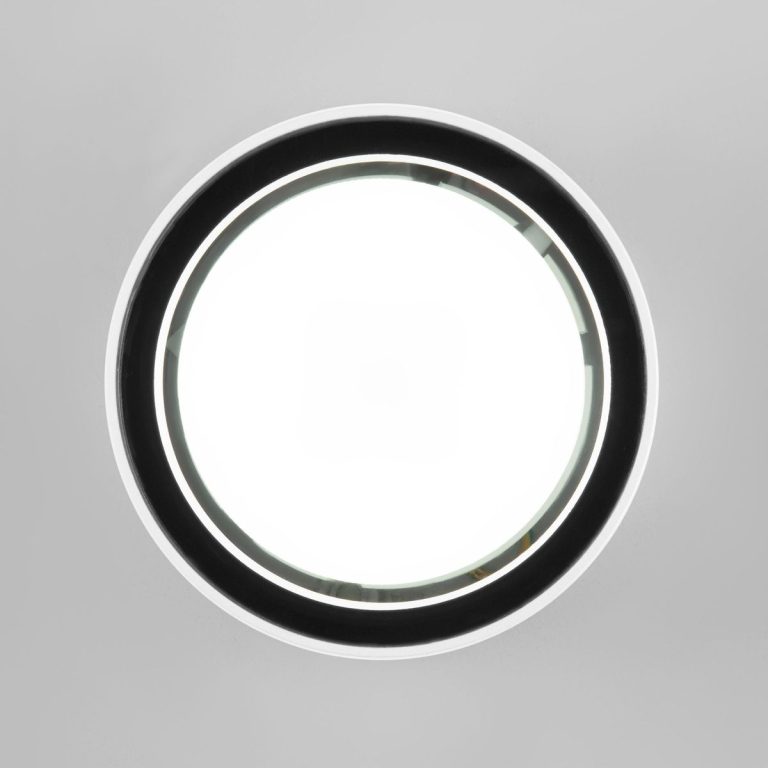Уличный потолочный светильник Elektrostandard Light 4690389180828