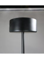 Люстра на штанге Zortes Lunar ZRS.01243.06
