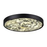 Настенно-потолочный светильник Odeon Light Bergi 5064/40L