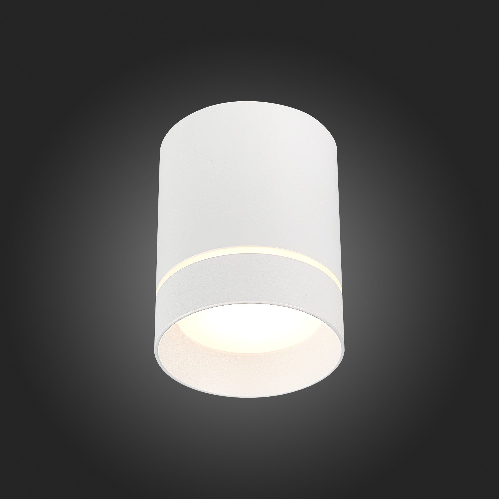 Накладной светильник ST Luce ST115 ST115.532.12 Накладной светильник ST Luce ST115 ST115.532.12