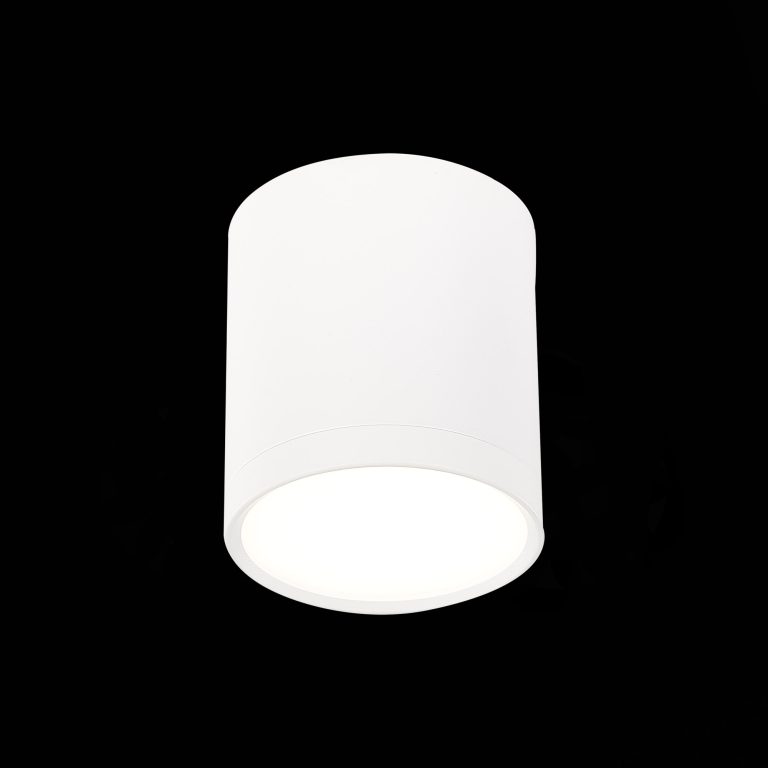 Потолочный светильник ST Luce Rene ST113.542.05