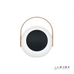 Настольная лампа iLedex Giggle EYS0970-CH WH