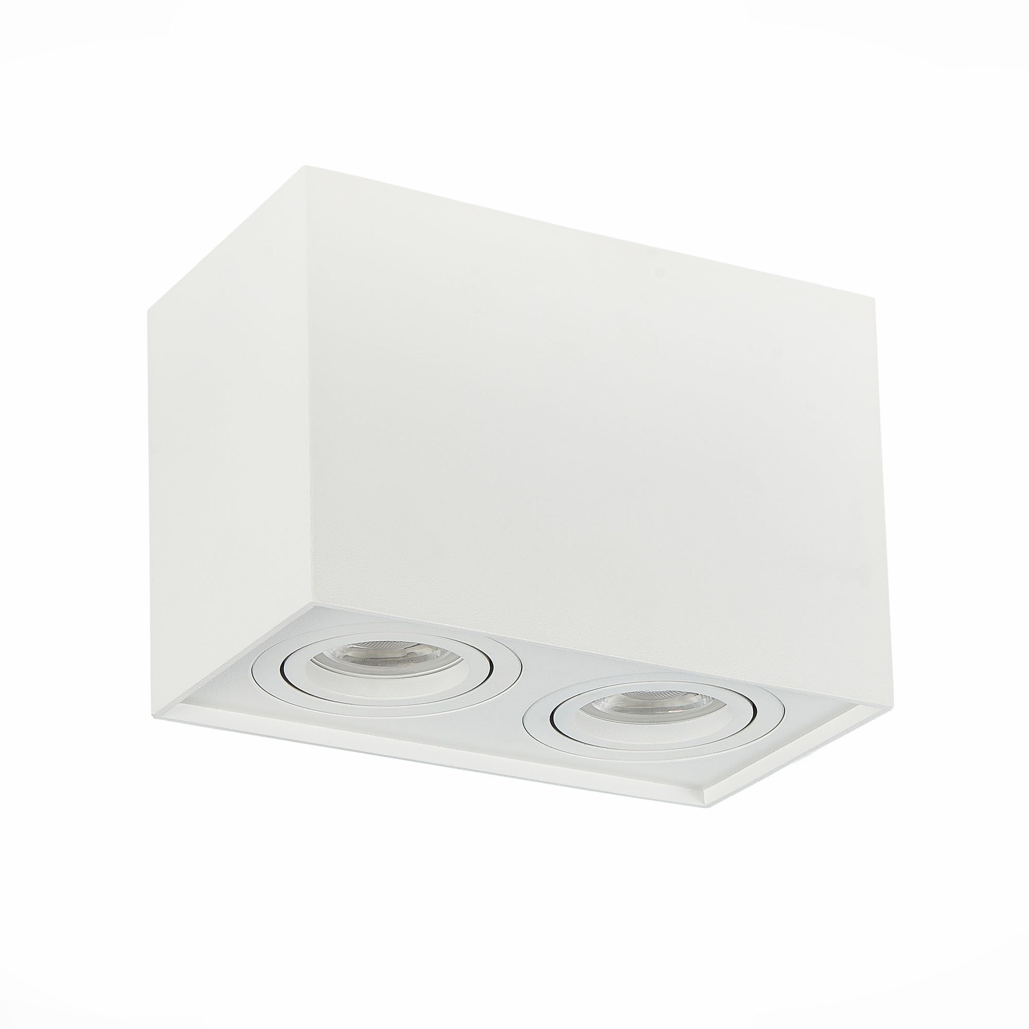 Потолочный светильник ST LUCE ST109.507.02 Потолочный светильник ST LUCE ST109.507.02