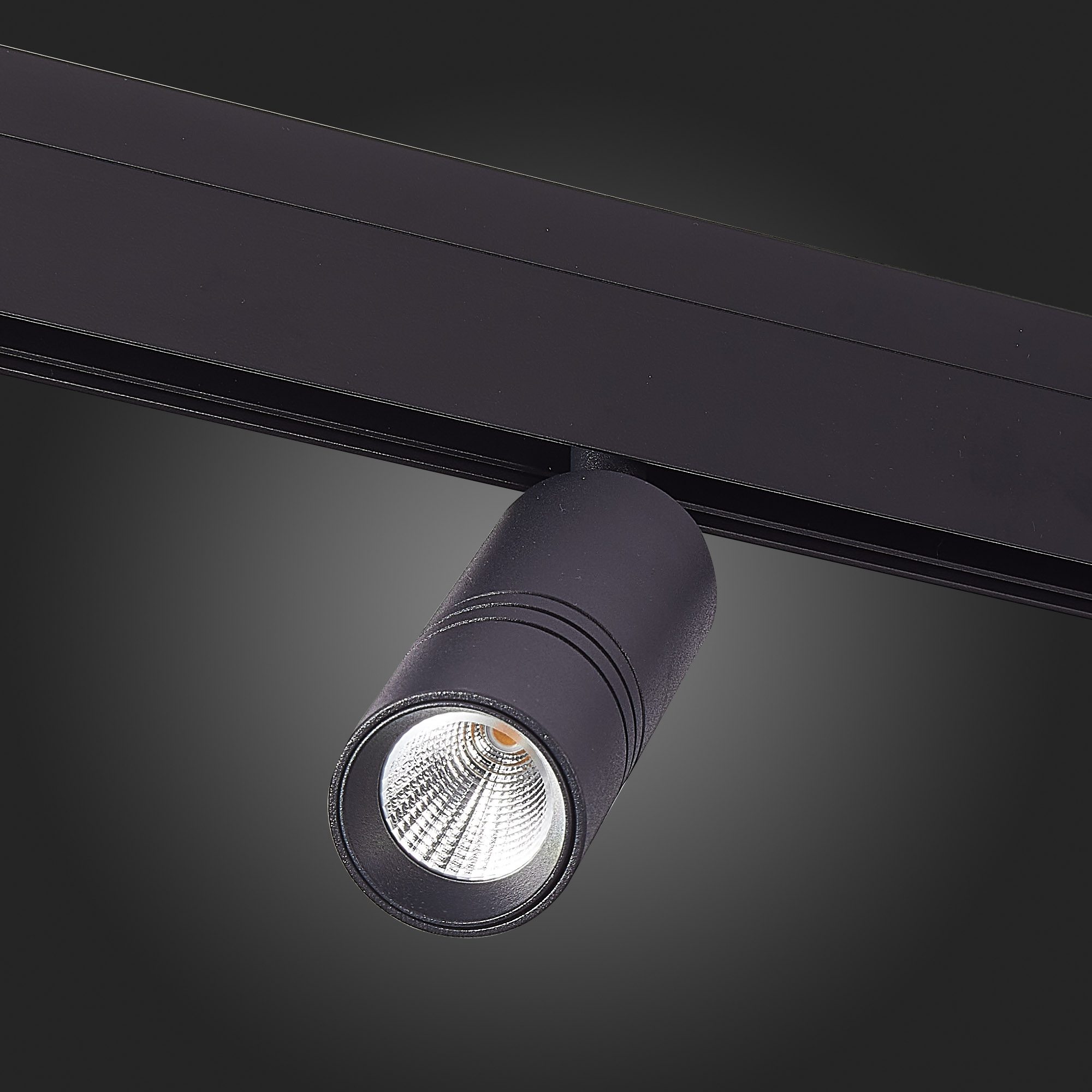 Трековый светильник ST Luce Lemmi ST365.436.12 Трековый светильник ST Luce Lemmi ST365.436.12