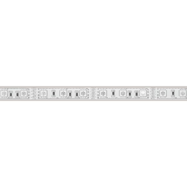 Светодиодная лента герметичная Arlight RTW-PU-B60-12.5mm 12V RGB (14.4 W/m, IP68, 5060, 5m) 029599(2) Светодиодная лента герметичная Arlight RTW-PU-B60-12.5mm 12V RGB (14.4 W/m, IP68, 5060, 5m) 029599(2)
