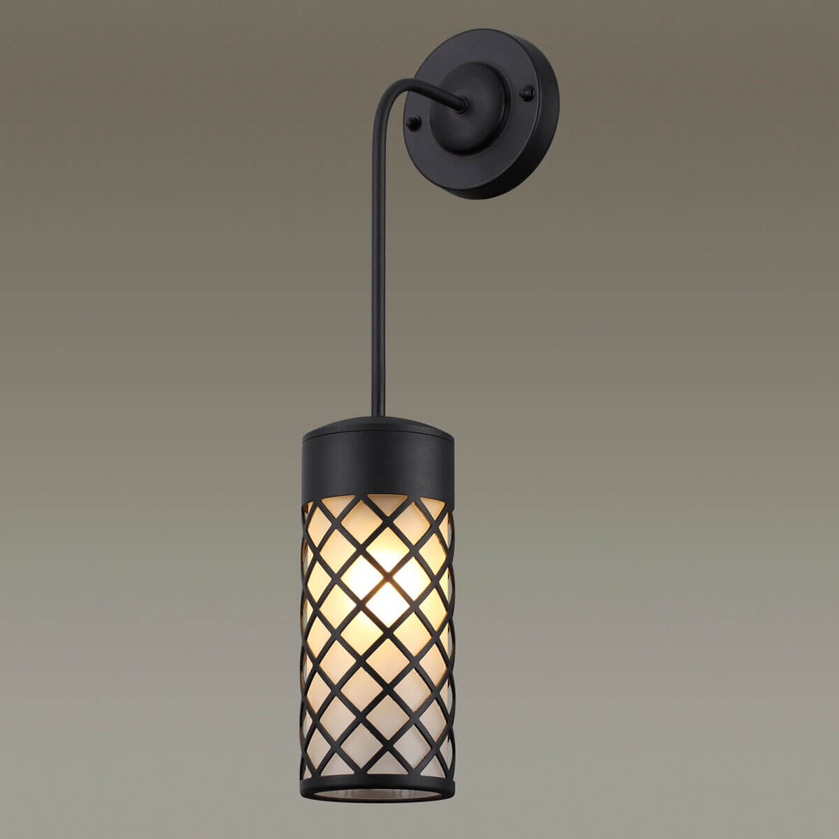 Настенный светильник Odeon Light 4834/1W Настенный светильник Odeon Light 4834/1W