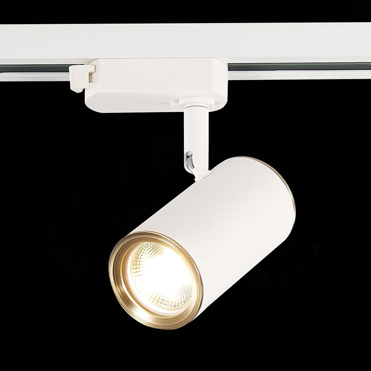 Трековый светильник ST Luce Cromi ST301.536.01 Трековый светильник ST Luce Cromi ST301.536.01