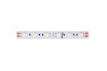 Светодиодная лента DesignLed DSG560-12-W-33 000513