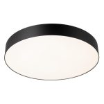 Потолочный светильник Citilux Bart CL755491