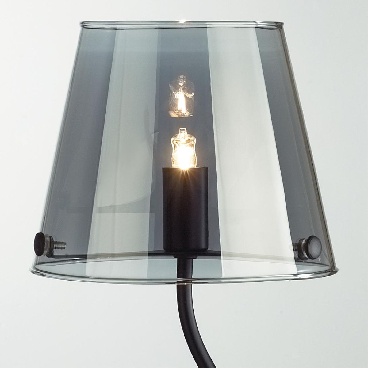 Настольная лампа Lumion Smoky 6570/1T Настольная лампа Lumion Smoky 6570/1T