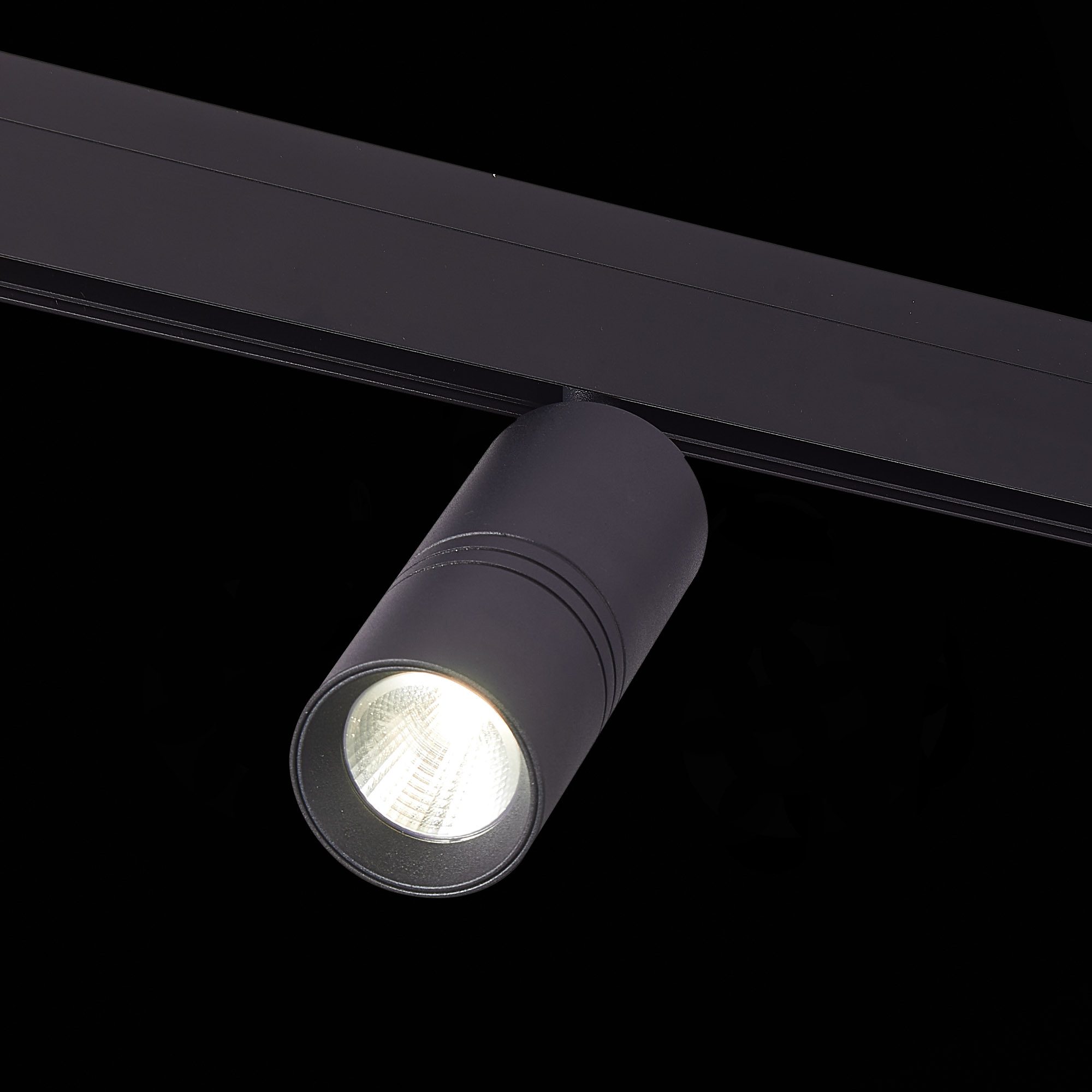 Трековый светильник ST Luce Lemmi ST365.436.18 Трековый светильник ST Luce Lemmi ST365.436.18