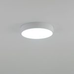 Потолочный светильник Citilux Купер CL72424V0