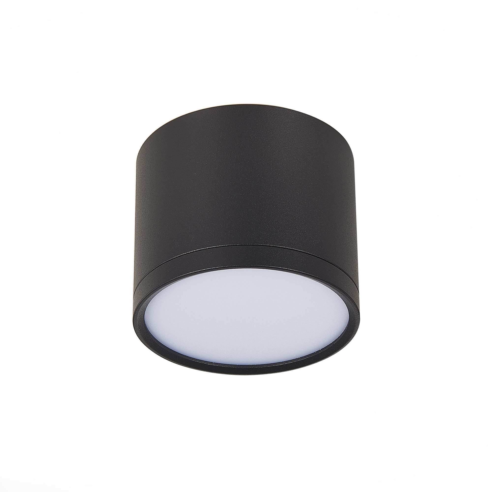 Потолочный светильник ST Luce Rene ST113.442.09 Потолочный светильник ST Luce Rene ST113.442.09