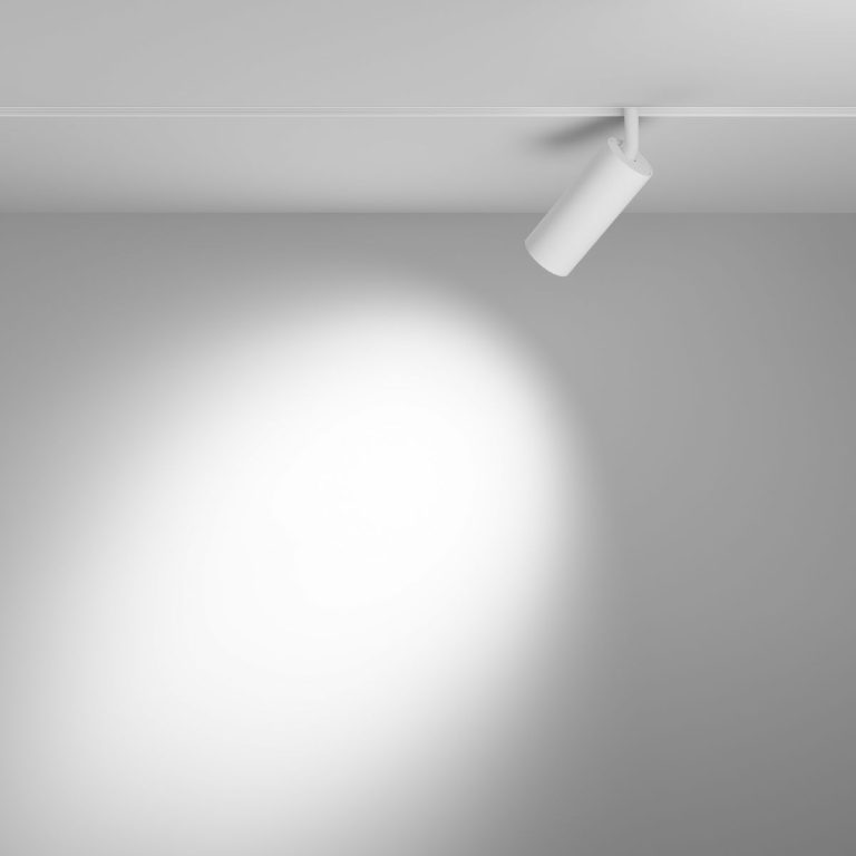 Трековый магнитный светильник Maytoni Focus LED TR032-2-12W4K-S-W