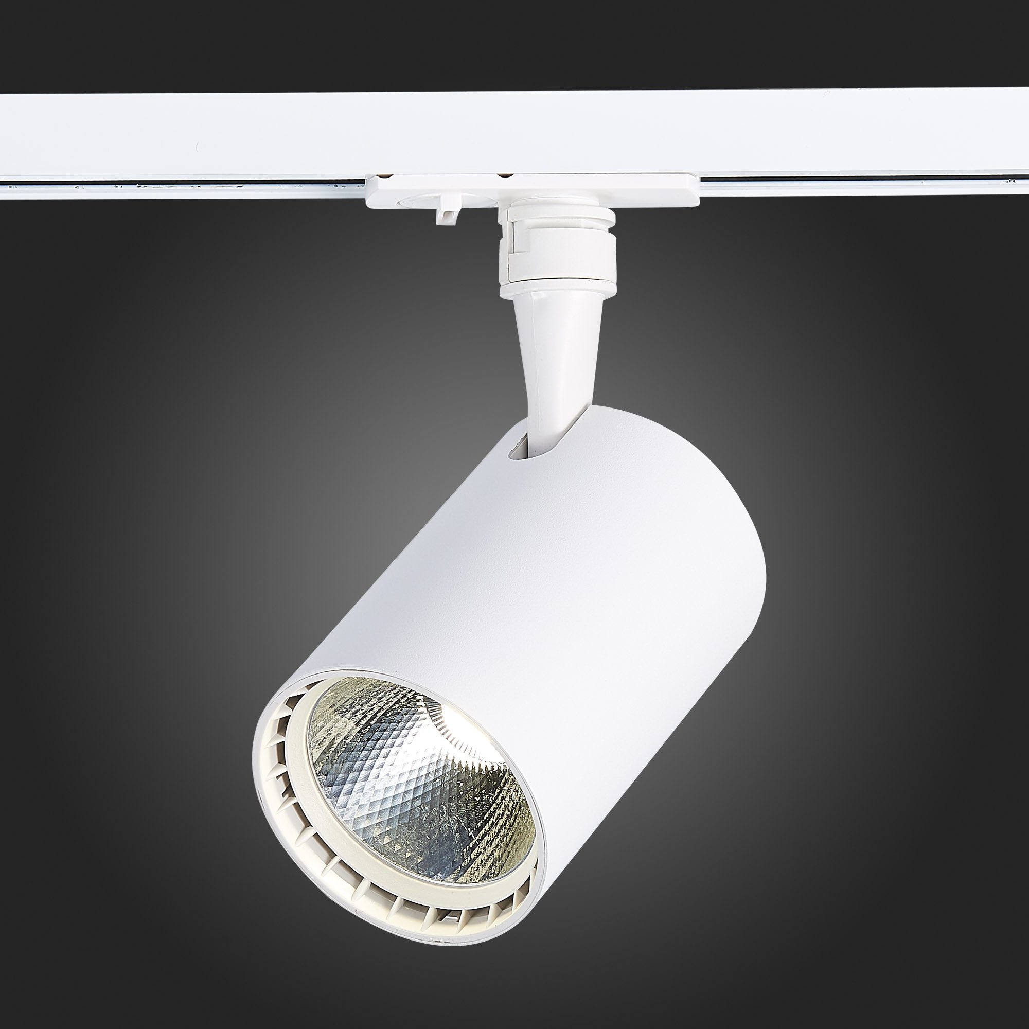 Трековый светильник ST LUCE CAMI ST351.536.15.24 Трековый светильник ST LUCE CAMI ST351.536.15.24