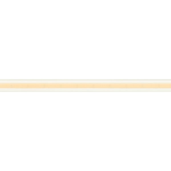 Светодиодная лента герметичная Arlight COB-PL90-X544-12mm 24V Day5000 032177(2) Светодиодная лента герметичная Arlight COB-PL90-X544-12mm 24V Day5000 032177(2)