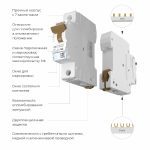 Автоматический выключатель 1P 25 A C 6 кА Werkel W901P256 4690389192616 a062536