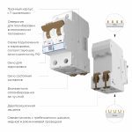 Автоматический выключатель 2P 40 A C 6 кА Werkel W902P406 4690389192852 a062545