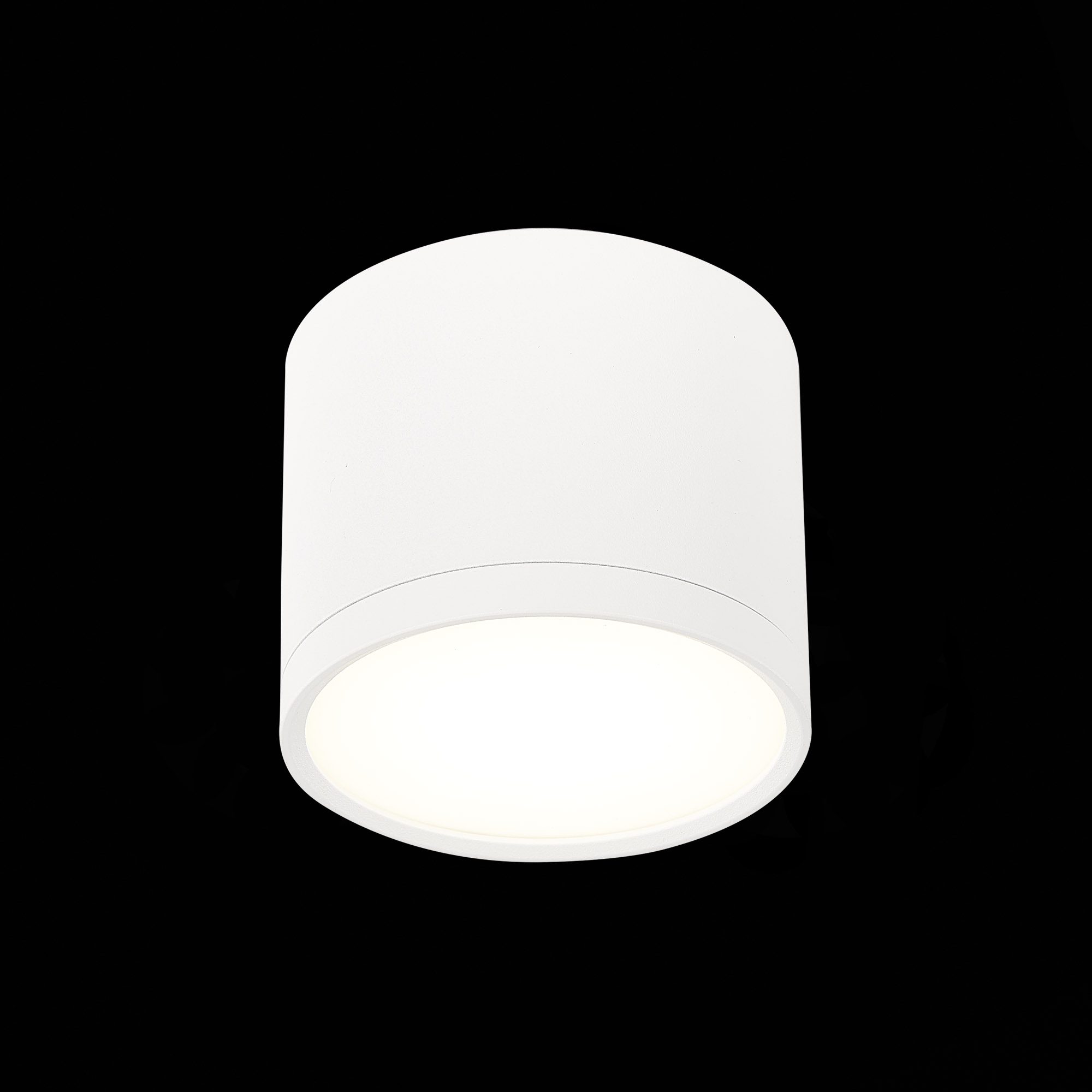 Потолочный светильник ST Luce Rene ST113.542.09 Потолочный светильник ST Luce Rene ST113.542.09