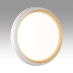 Настенно-потолочный светильник Sonex Tofiq white 7650/EL