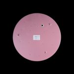 Потолочный светильник Loft IT AXEL 10002/24 Pink