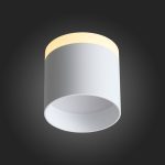 Накладной светильник ST Luce ST102.502.12