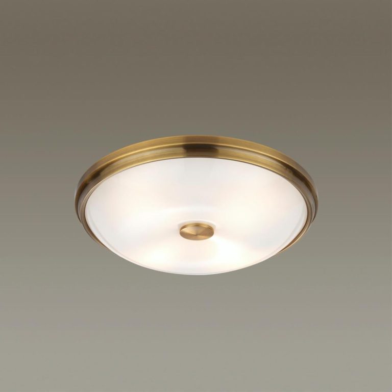 Настенно-потолочный светильник Odeon Light Pelow 4956/4