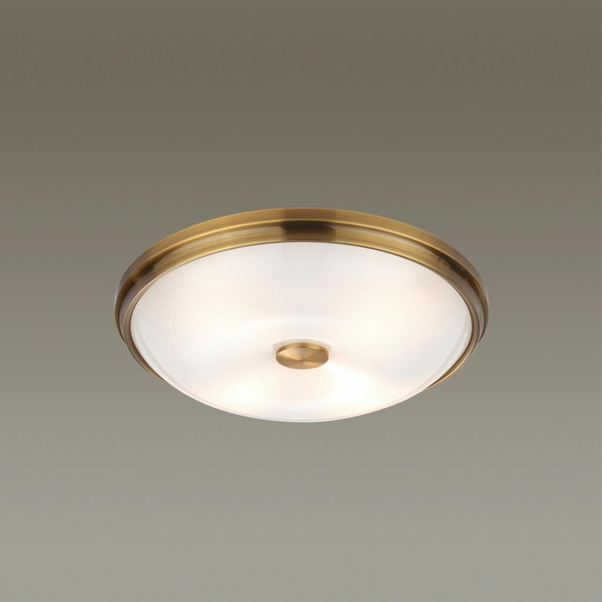 Настенно-потолочный светильник Odeon Light Pelow 4956/4 Настенно-потолочный светильник Odeon Light Pelow 4956/4