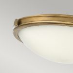 Потолочный светильник Hinkley Collier HK-COLLIER-F-M