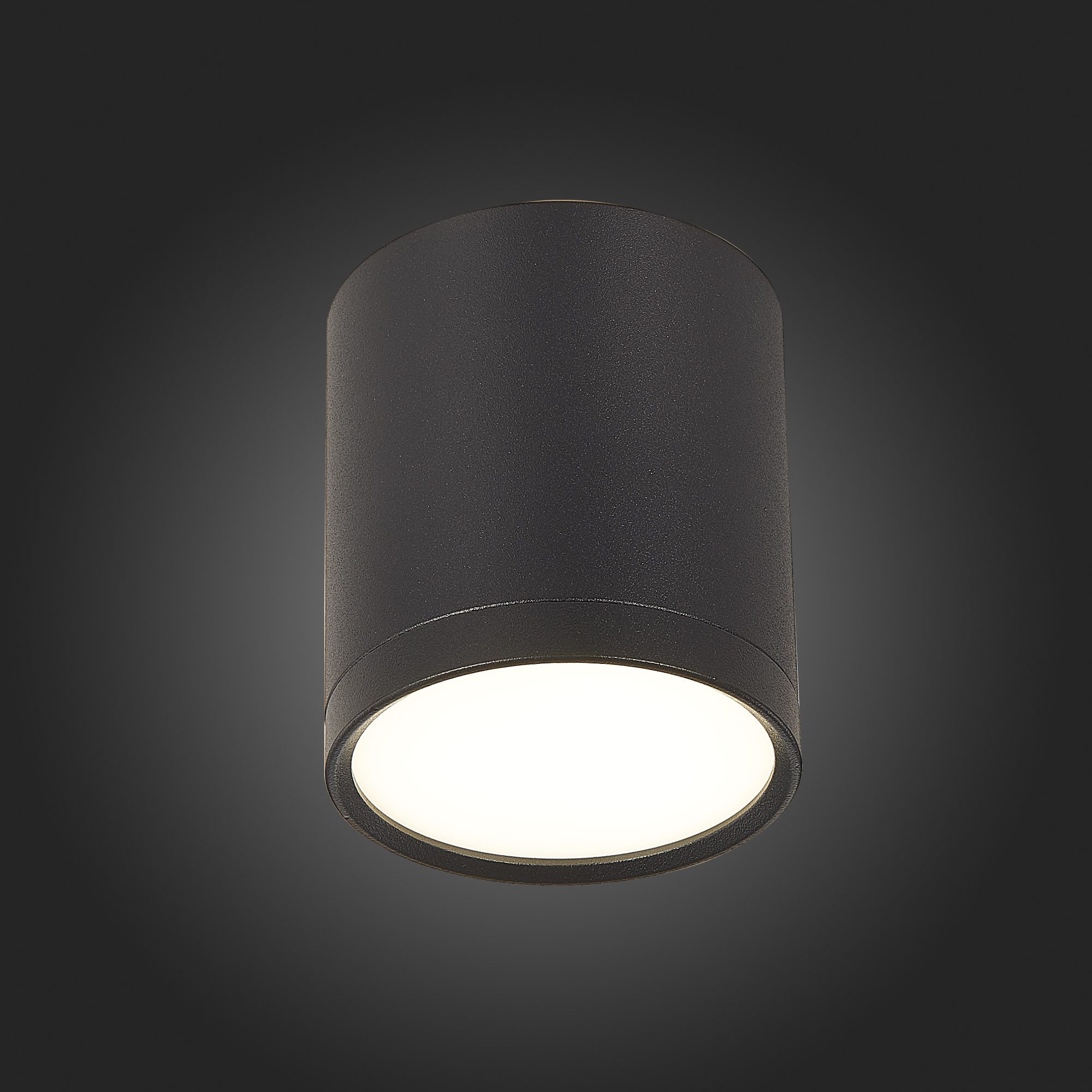 Потолочный светильник ST Luce Rene ST113.442.05 Потолочный светильник ST Luce Rene ST113.442.05