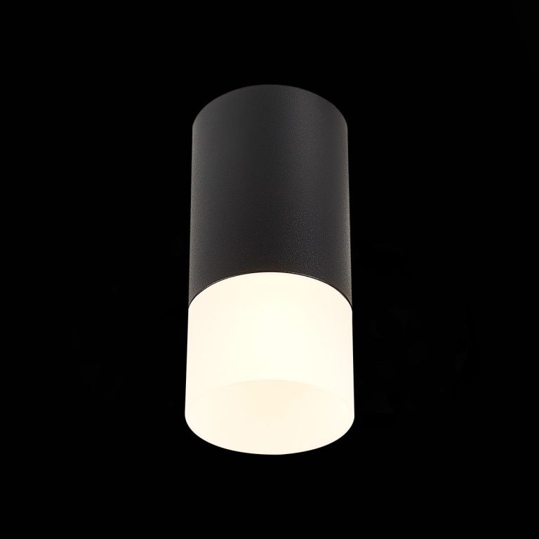 Накладной светильник ST Luce ST100 ST100.412.01