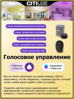 Накладной светильник Citilux CL703A100G