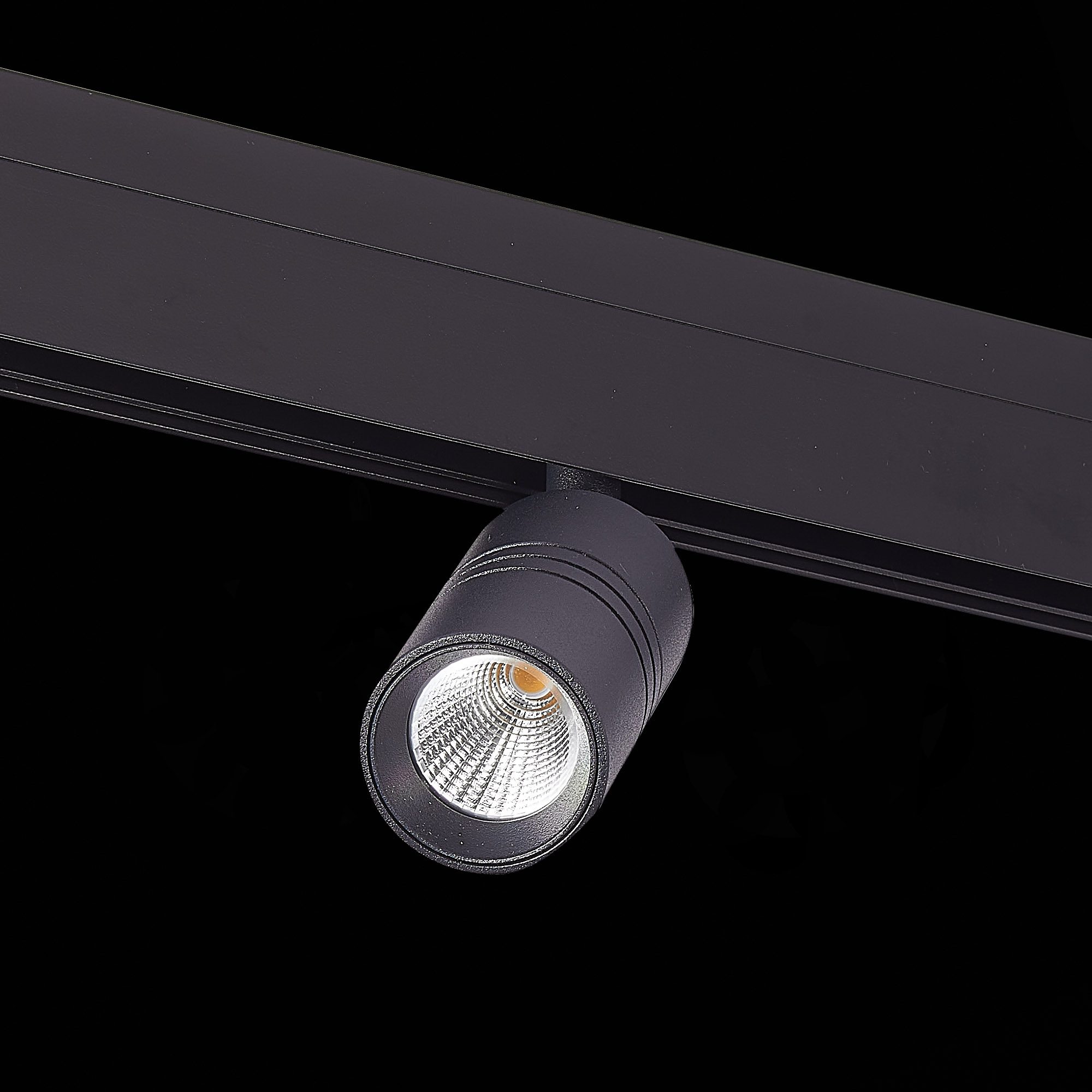 Трековый светильник ST Luce Lemmi ST365.446.07 Трековый светильник ST Luce Lemmi ST365.446.07
