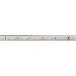 Cветодиодная лента Feron LS705 230В 5070 11Вт/м 4000K 50м IP65 48140