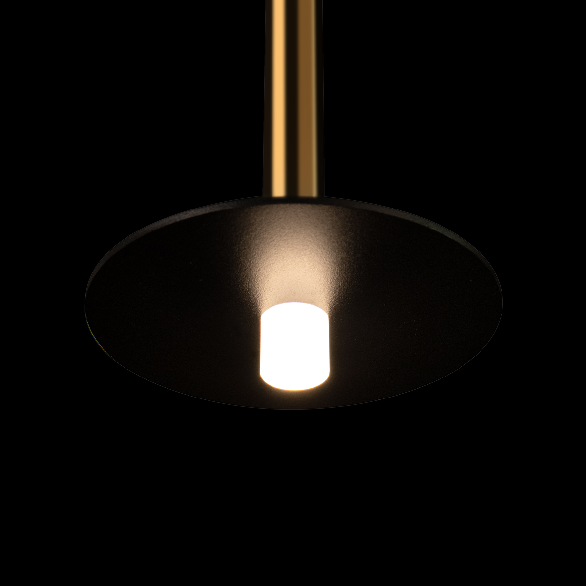 Подвесной светильник Loft IT Reed 10358/830 Disk AB Подвесной светильник Loft IT Reed 10358/830 Disk AB