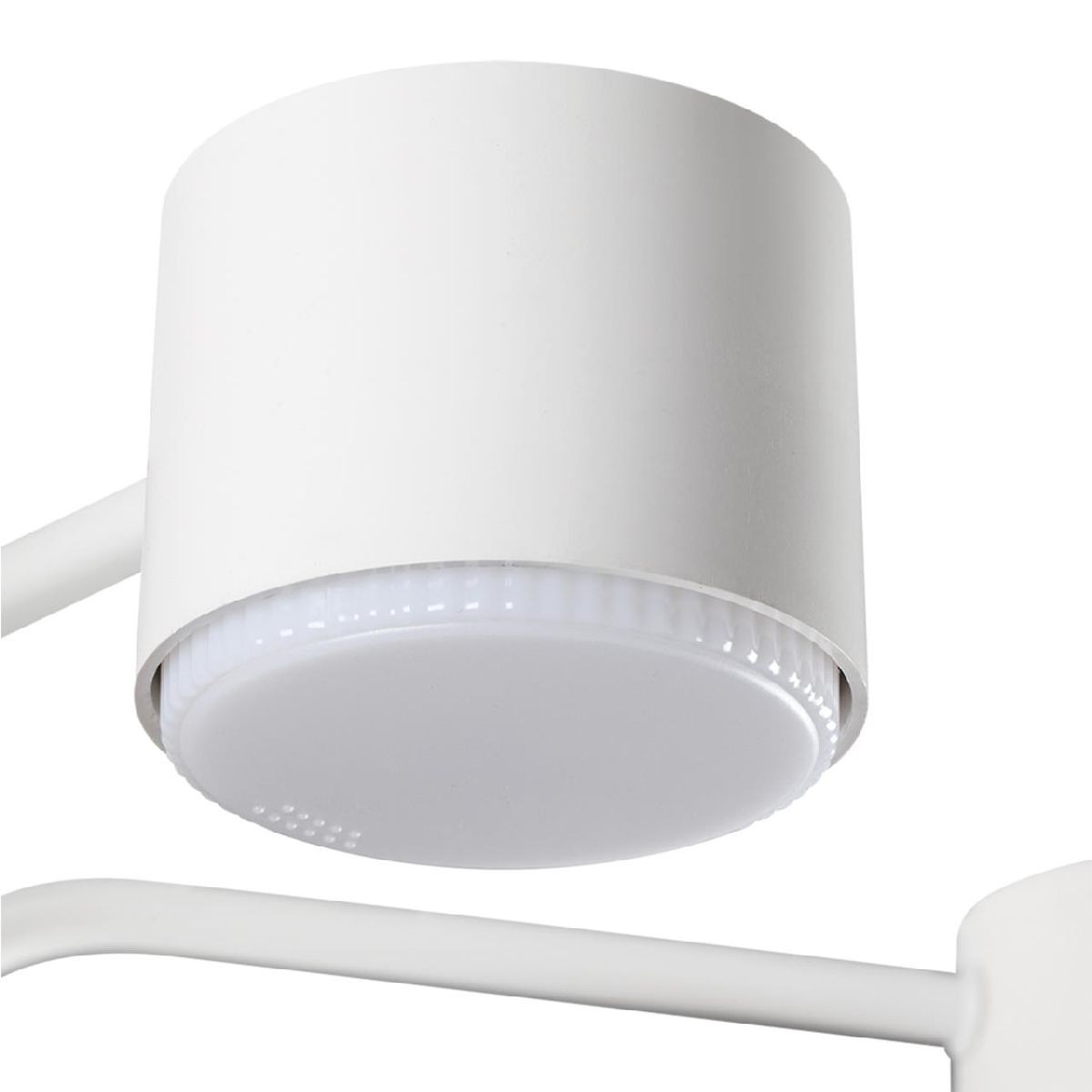 Люстра на штанге Lumion Rondo 8231/6C Люстра на штанге Lumion Rondo 8231/6C