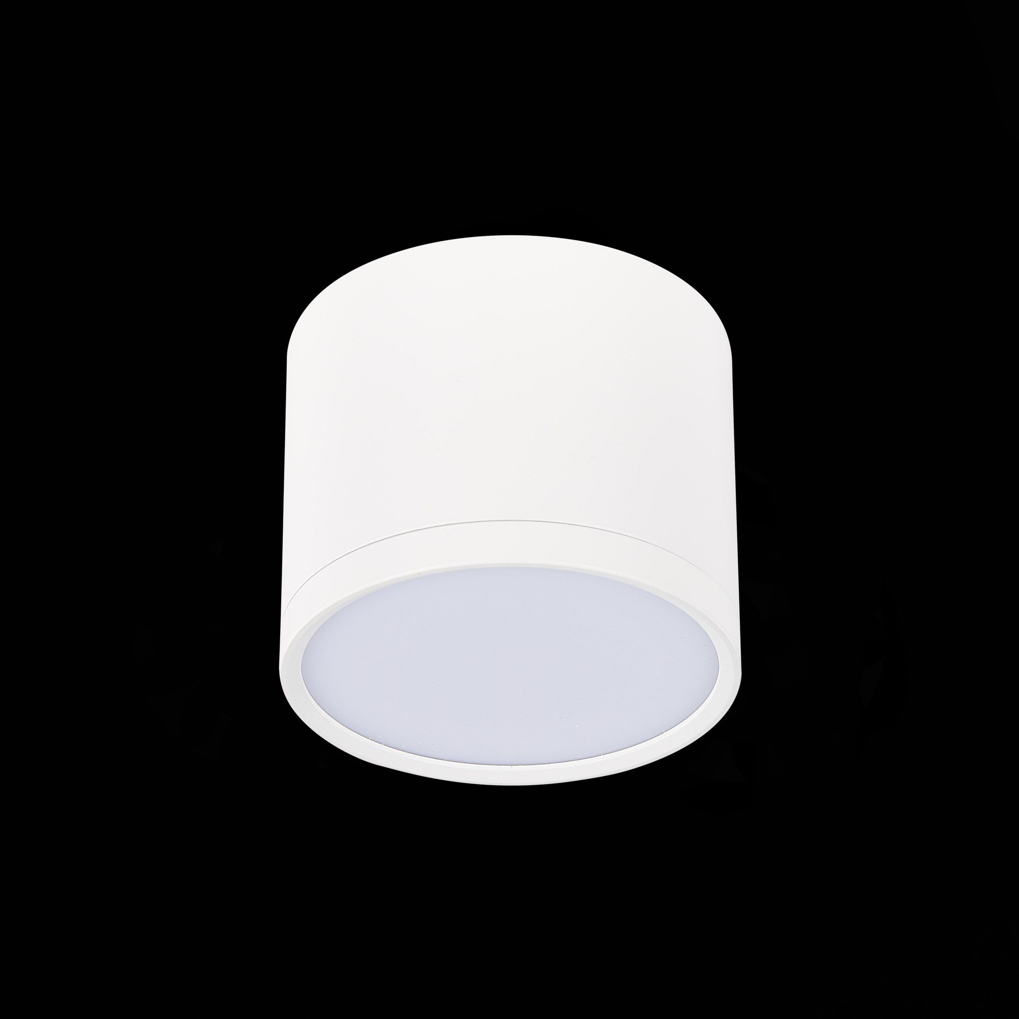 Потолочный светильник ST Luce Rene ST113.532.09 Потолочный светильник ST Luce Rene ST113.532.09