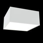Потолочный светильник Maytoni Technical Zon C067CL-L12W3K