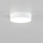 Накладной светодиодный светильник Citilux Тао CL712120N