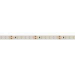 Светодиодная лента герметичная Arlight RTW-SE-A120-8mm 24V Cool 10K (9.6 W/m, IP65, 2835, 5m) 016832(2)