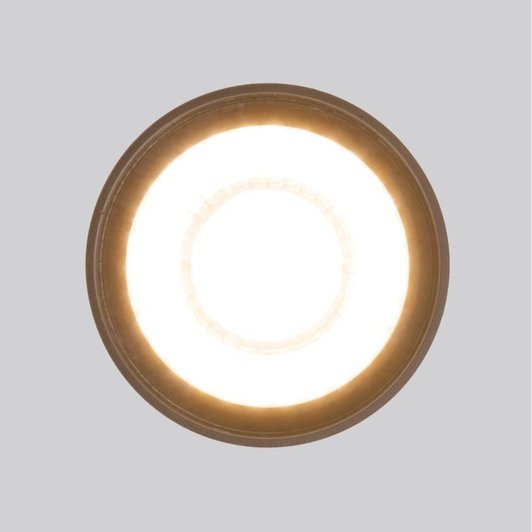 Уличный потолочный светильник Elektrostandard Light LED 4690389176975